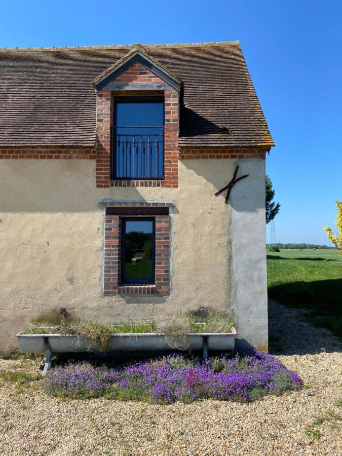 La Muzardiere Aux Gites De Cormenin Saint-Hilaire-sur-Puiseaux 外观 照片